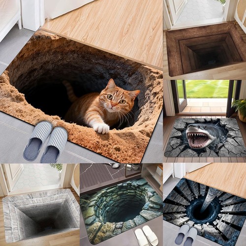 Illusion trap doormat non - 3d,